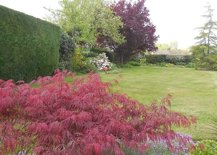 La Menardiere Panzió Saint-Ouen-en-Belin